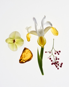 Rêve + You Travel Spray