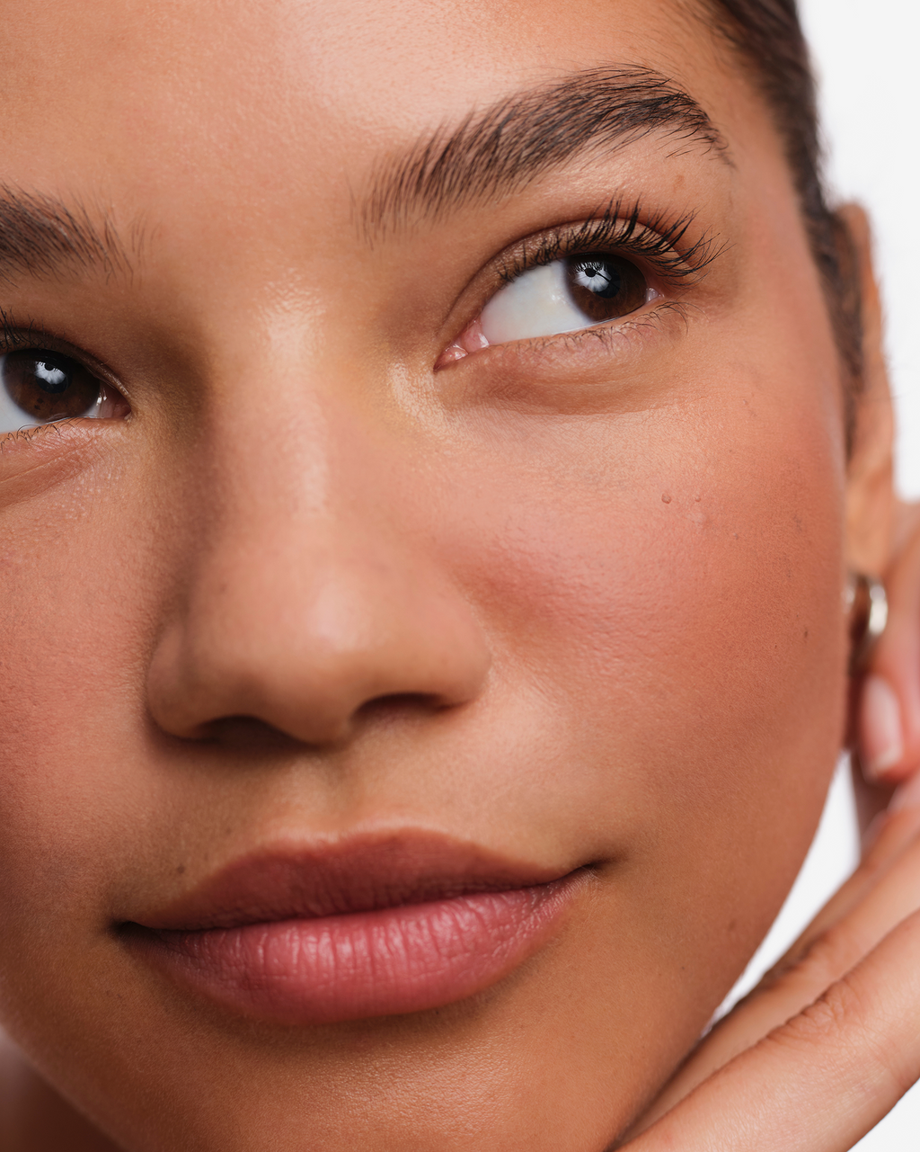 Cloud Paint Plush Blush