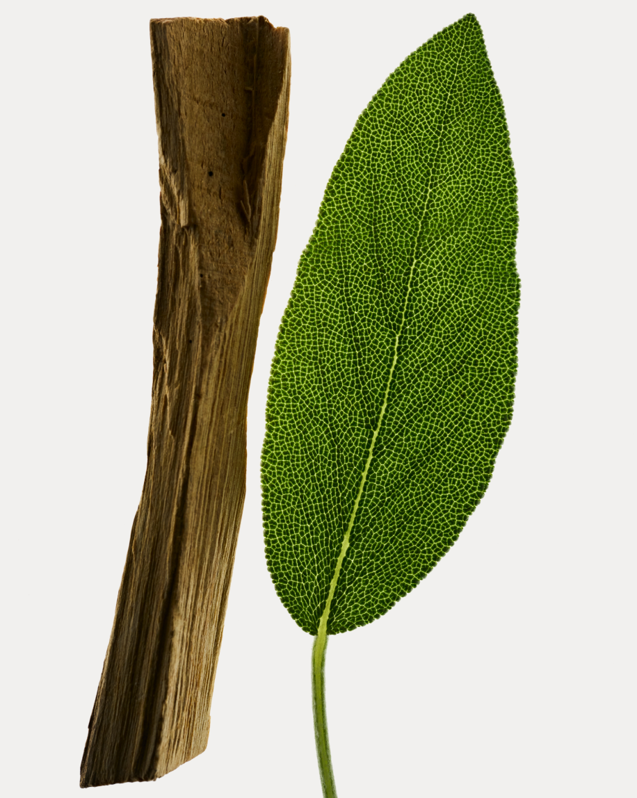 Deodorant Refill Stick