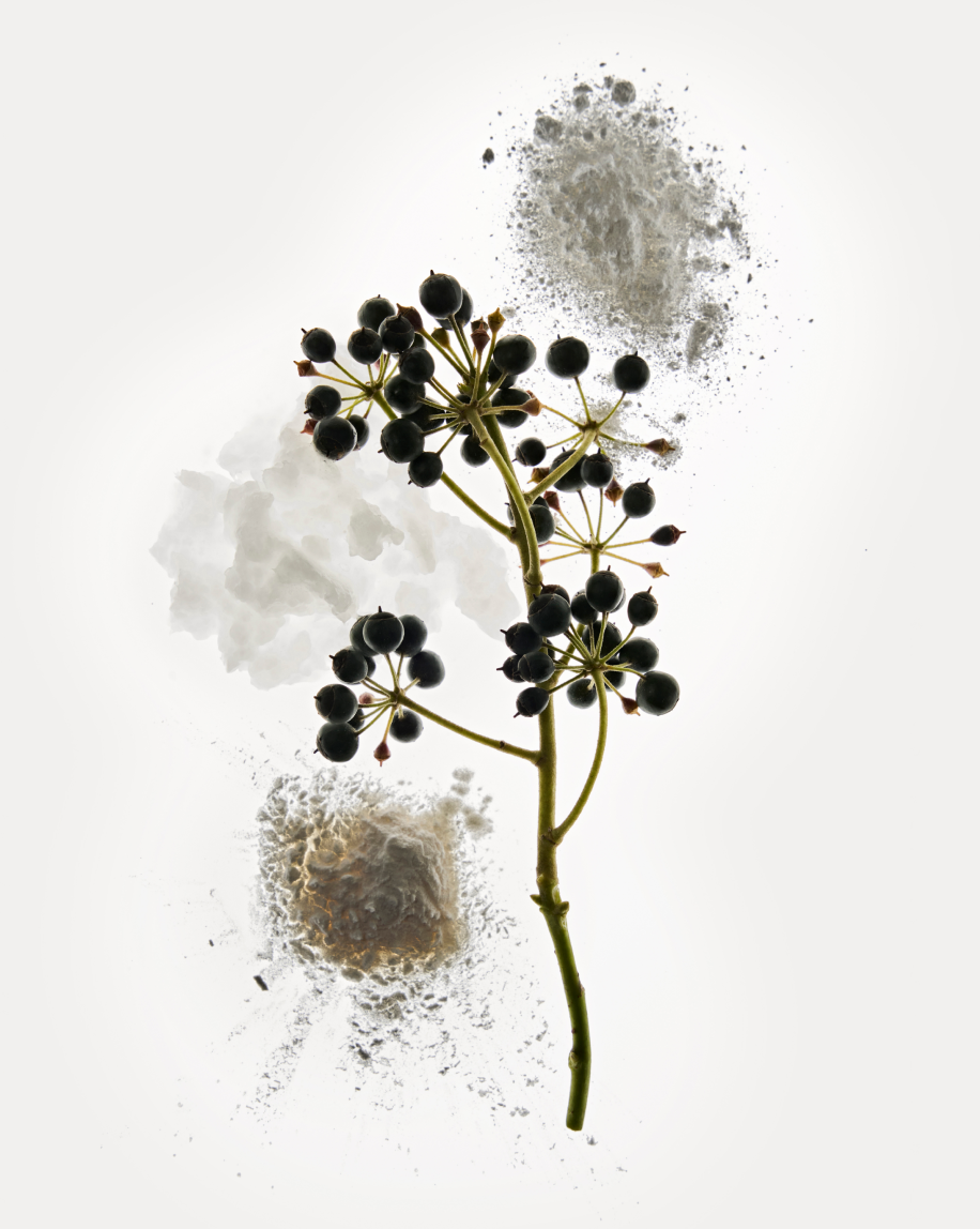 Deodorant Refill Stick